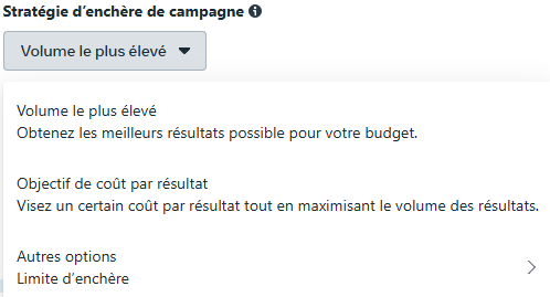 Stratégie d'enchère de campagne 